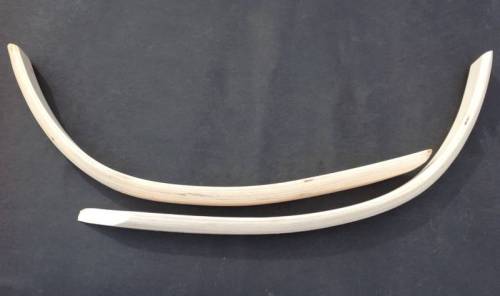 Chuck's Convertible Parts - REAR TACKSTRIP, BODY BASE, 2 PIECE WOOD, GHIA CONV. 1958-67 1/2 (Up to VIN# 147610909) *MADE IN USA*