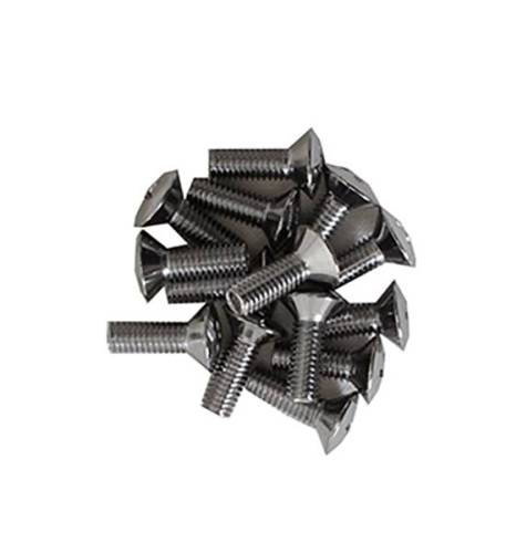 Chuck's Convertible Parts - CHROME SCREW SET, CONVERTIBLE TOP LOCK AND CATCH, SET OF 14, BUG CONV. 1950-67 *MADE BY WCM*