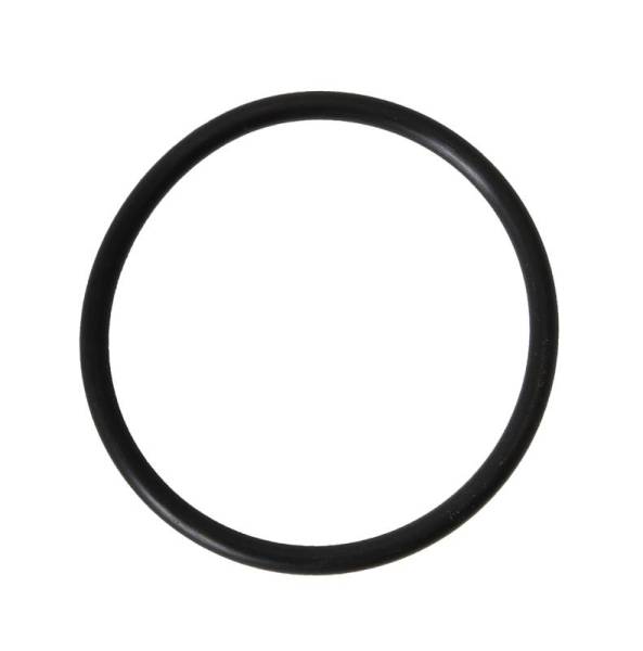 Chuck's Convertible Parts - SEAL, BETWEEN GAS TANK & SENDING UNIT, BUG SUPER BEETLE 1971-79, BUS 1973-79, VANAGON 1980-91